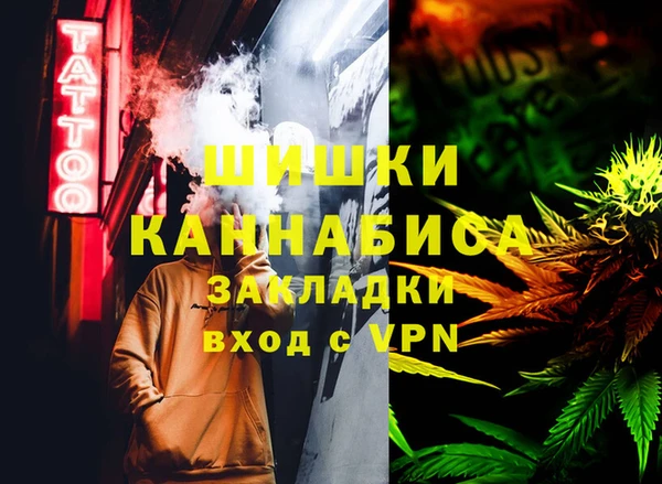 сатива Алзамай