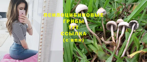первитин Алексеевка