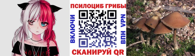 Псилоцибиновые грибы MAGIC MUSHROOMS  где купить наркотик  Красноярск 