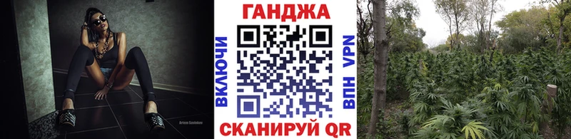 где найти   Красноярск  OMG зеркало  Бошки Шишки индика 
